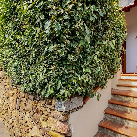 Holiday home Altair Agrustos